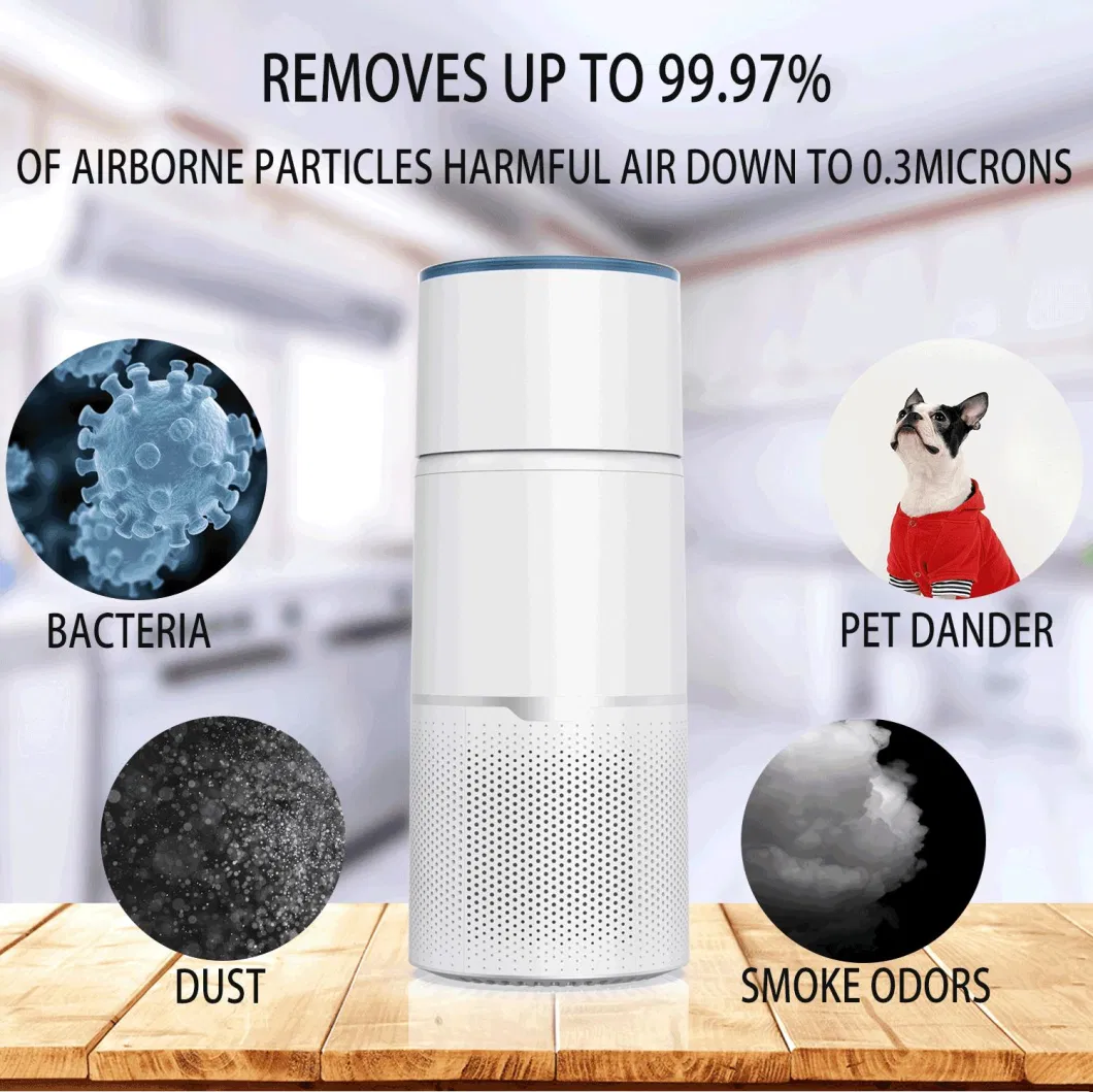 Hot Selling Cleaner HEPA Filter Portable UV Viruses and Bacteria for Hospital Air Purifier