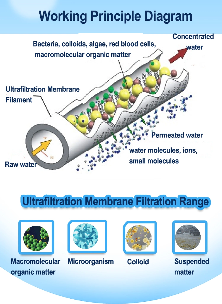 6000L/H Mineral Water Treatment Machine UF System Ultrafiltration Water Treatment Equipment